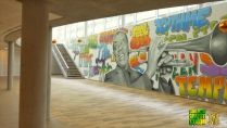 DECORATION-GRAFFITI-FRESQUE-TABLEAU-STREET-ART-PARIS-11