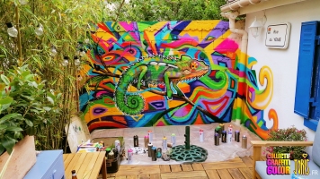 DECORATION-GRAFFITI-FRESQUE-TABLEAU-STREET-ART-PARIS-13