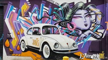 DECORATION-GRAFFITI-FRESQUE-TABLEAU-STREET-ART-PARIS-21