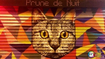 DECORATION-GRAFFITI-FRESQUE-TABLEAU-STREET-ART-PARIS-22