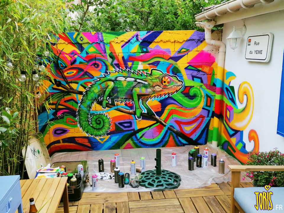 FRESQUE-DECORATION-PEINTURE-GRAFFITI-CAMELEON-BY-JORIS